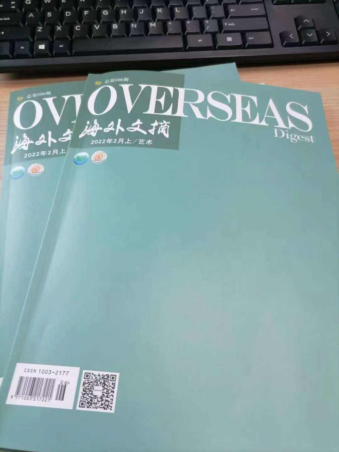 海外(海外务工)